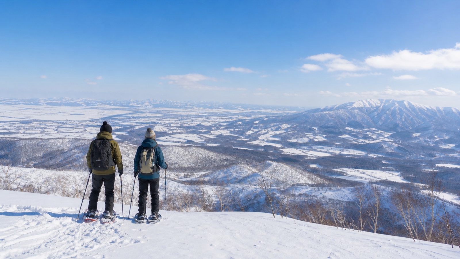 静かな雪の森を歩く ニセコ・スノーシューハイク 風景3